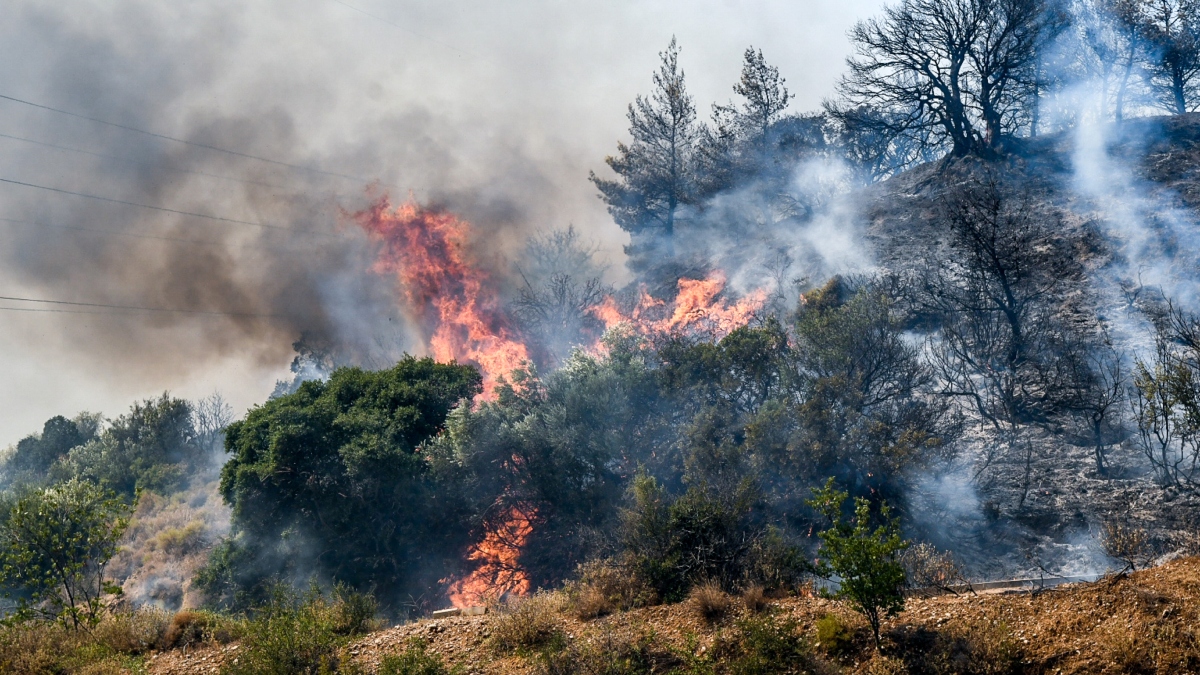Υψηλός κίνδυνος πυρκαγιάς σήμερα για 17 περιοχές – Δείτε τον χάρτη επικινδυνότητας