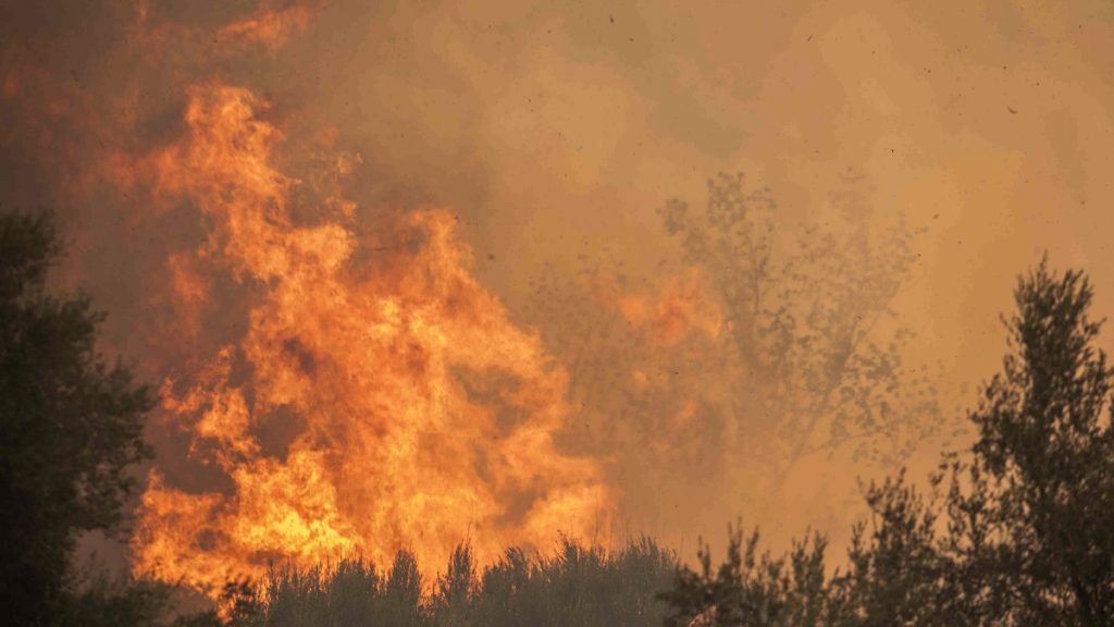 Πολύ υψηλός κίνδυνος πυρκαγιάς για σήμερα – Στο “πορτοκαλί” Κρήτη και Αιγαίο