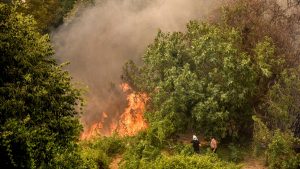 Πολύ υψηλός κίνδυνος πυρκαγιάς για αύριο Σάββατο – Σε “πορτοκαλί” συναγερμό και η Αττική