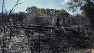 Εγκύκλιος του υπ. Υγείας για τις φωτιές: Πώς θα επιστρέψετε με ασφάλεια σε πυρόπληκτες περιοχές