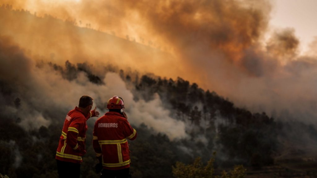 Ρεκόρ καταστροφής στην Πορτογαλία – Δασική πυρκαγιά αφάνισε 640.000 στρέμματα