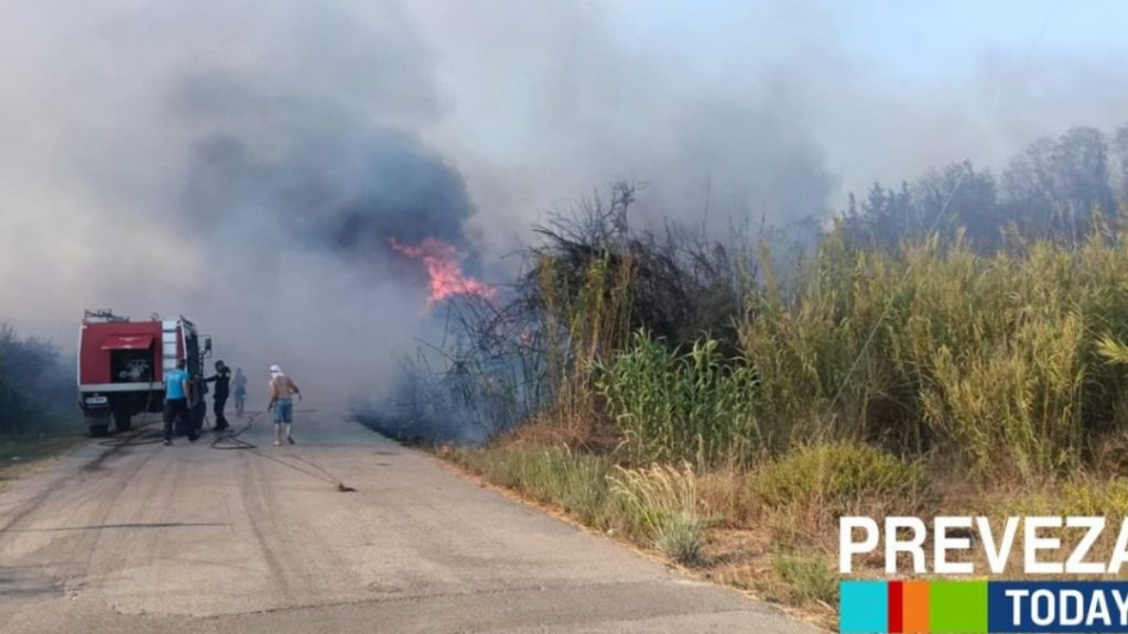 Φωτιά στην Πρέβεζα: Καλύτερη εικόνα στα τρία μέτωπα – Οριοθετήθηκε η πυρκαγιά στην Στεφάνη