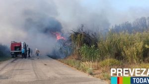 Φωτιά στην Πρέβεζα: Καλύτερη εικόνα στα τρία μέτωπα – Οριοθετήθηκε η πυρκαγιά στην Στεφάνη