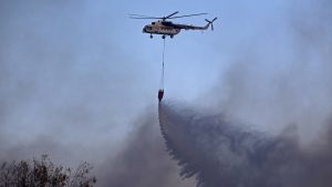 Χαλκιδική: Απαγόρευση κυκλοφορίας σε δασικές περιοχές λόγω καύσωνα