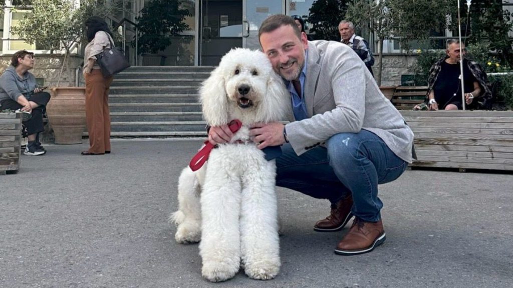 Γεωργιάδης για τους σκύλους θεραπείας στο “Μεταξά” – “Χαρίζουν ανακούφιση, δύναμη και χαμόγελο στους ασθενείς”