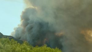 Φωτιά σε δασική έκταση στο παραθαλάσσιο θέρετρο Ταρίφα στην Ισπανία: «Σταθεροποιήθηκε» η κατάσταση (Βίντεο)
