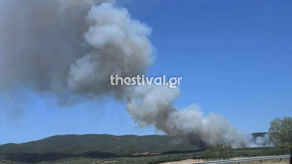 Θεσσαλονίκη: Φωτιά σε αγροτοδασική έκταση κοντά στη Βόλβη – Μεγάλη κινητοποίηση της πυροσβεστικής
