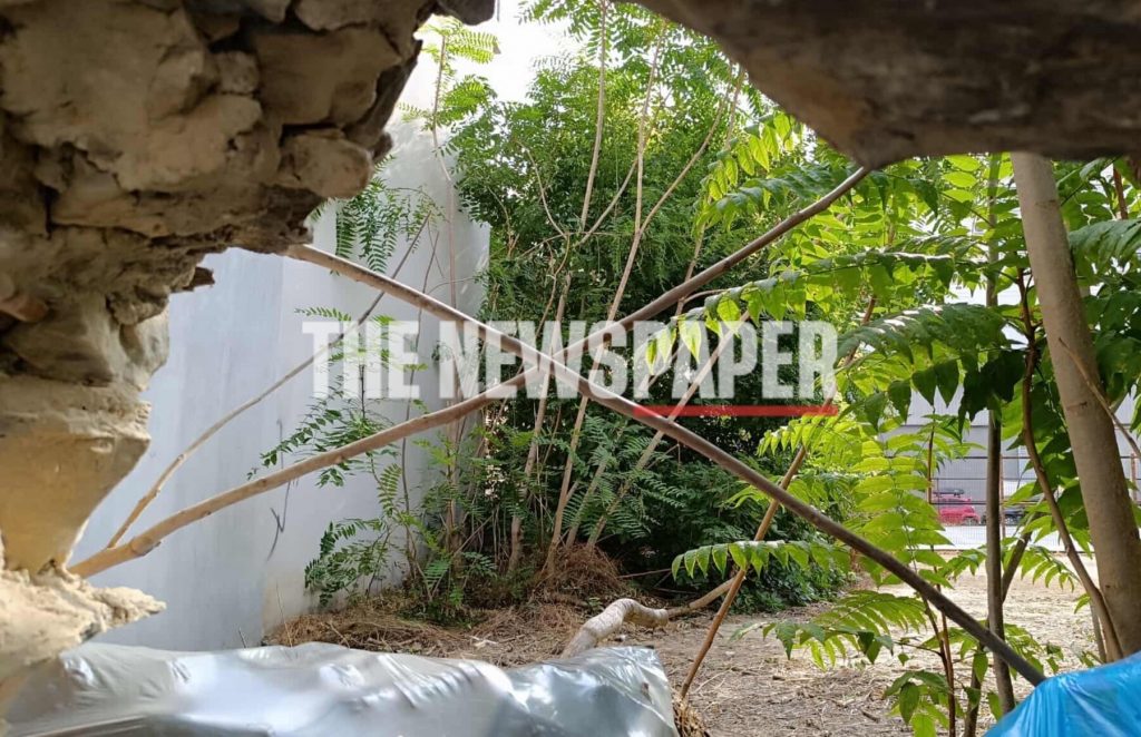 Γυναικοκτονία στον Βόλο: Εδώ κρυβόταν ο γυναικοκτόνος – “29 ώρες στην σκιά της πόλης” (εικόνες, βίντεο)