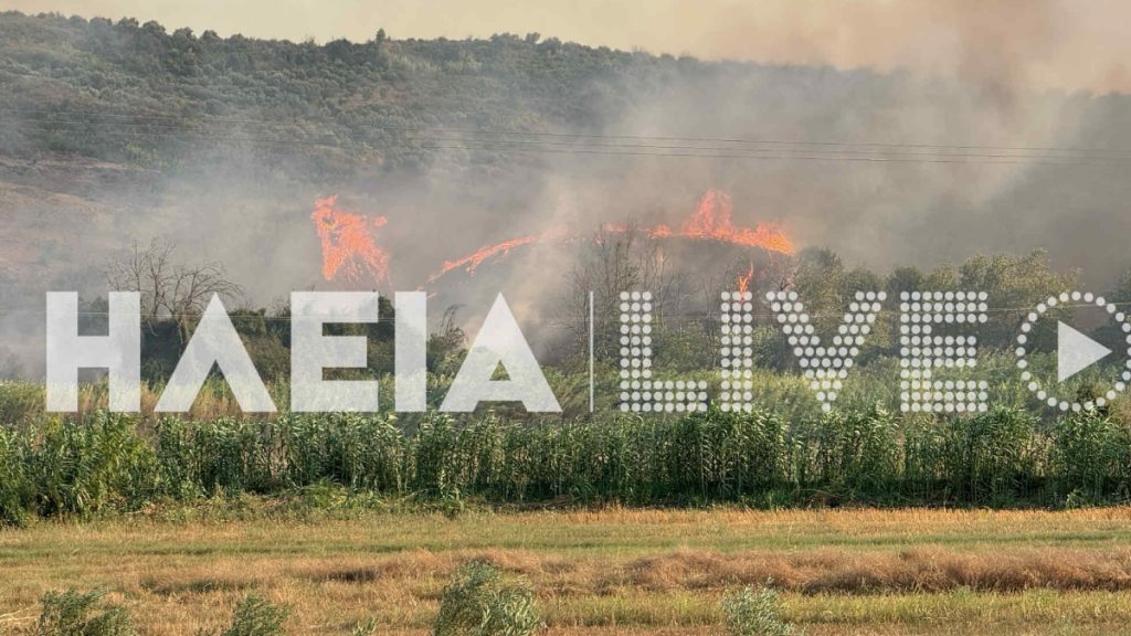 Φωτιά στο Χελιδόνι Ηλείας: Απομακρύνθηκε εγκαυματίας από την περιοχή
