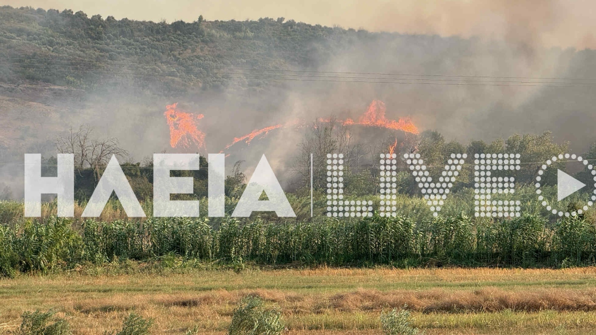 Φωτιά στο Χελιδόνι Ηλείας: Απομακρύνθηκε εγκαυματίας από την περιοχή