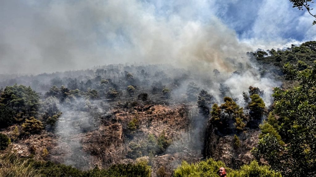 Πυρκαγιά στη Ζάκυνθο: Τι είναι η μέθοδος «αντιπύρ» με την οποία σώθηκε το χωριό Κερί