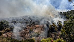 Πυρκαγιά στη Ζάκυνθο: Τι είναι η μέθοδος «αντιπύρ» με την οποία σώθηκε το χωριό Κερί