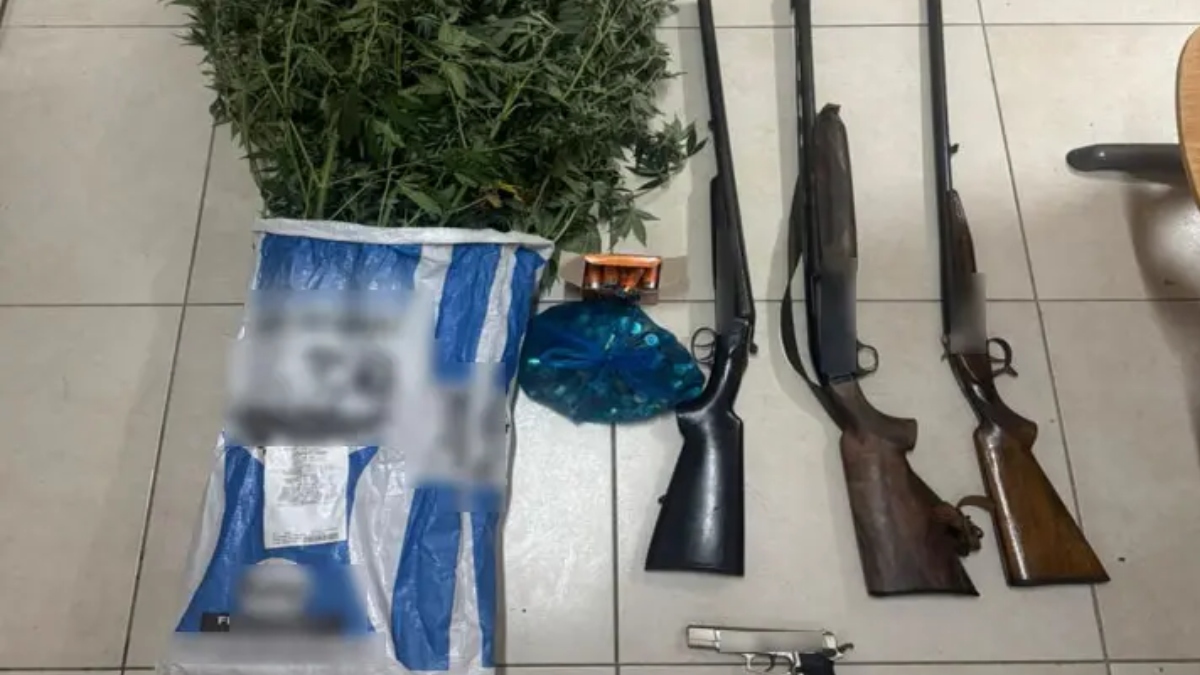 Ζάκυνθος: Χειροπέδες σε 51χρονο για καλλιέργεια δενδρυλλίων κάνναβης