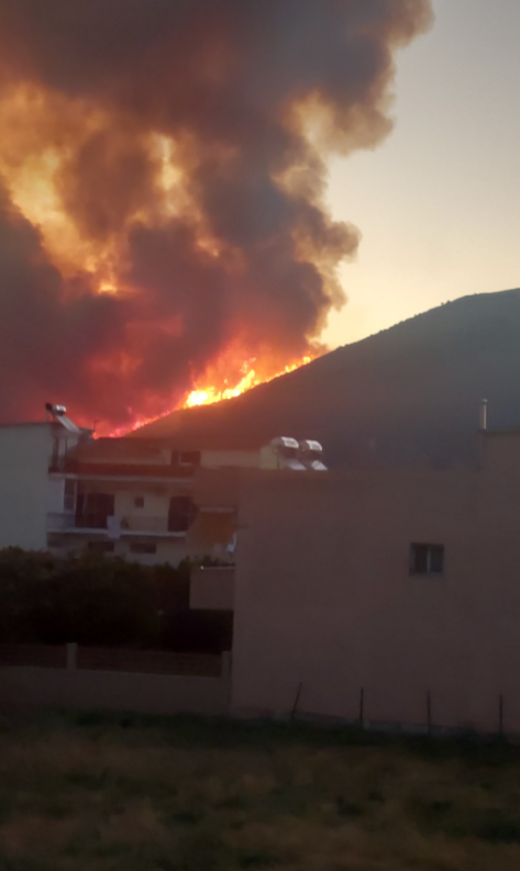 Βόνιτσα
