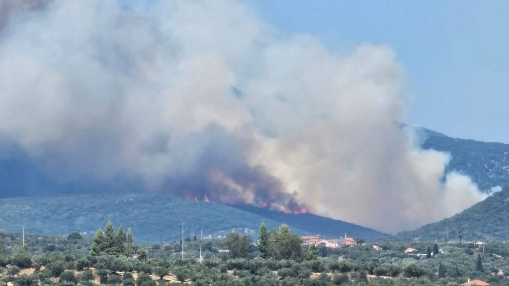 Φωτιά στην Μεσσηνία: Απειλεί σπίτια, ενεργοποιήθηκε το 112, εκκενώθηκαν τα Πετράλωνα