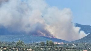 Φωτιά στην Μεσσηνία: Απειλεί σπίτια, ενεργοποιήθηκε το 112, εκκενώθηκαν τα Πετράλωνα