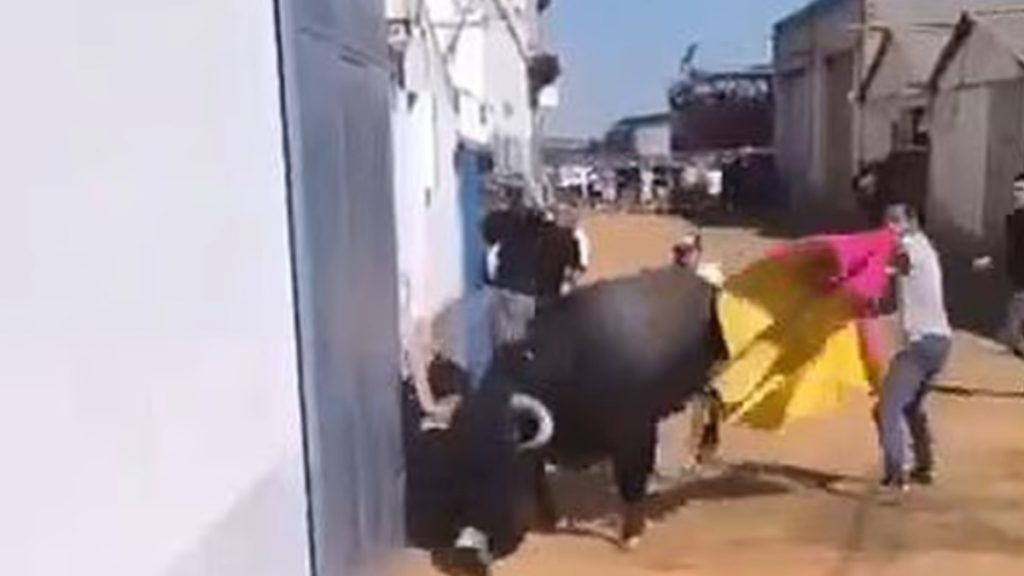 Τρομακτικό βίντεο από την Ισπανία: Ταύρος κάρφωσε με τα κέρατα 17χρονο και τον πέταξε στον αέρα