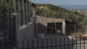 Βοιωτία: Έλεγε ότι είχε τη μάνα της σε δομή, αλλά την είχε θάψει σε στάβλο – “Είχαμε καταλάβει ότι κάτι συμβαίνει”