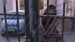 Βοιωτία: “Υπάρχει περίπτωση να έθαψε τη μάνα της ζωντανή” – Ποιες απαντήσεις θα δώσει η ιατροδικαστική εξέταση