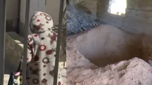 Βοιωτία: Πόσα χρόνια εκτιμάται ότι ήταν θαμμένη η 91χρονη στον στάβλο – “Δεν αποκλείεται η εγκληματική ενέργεια”