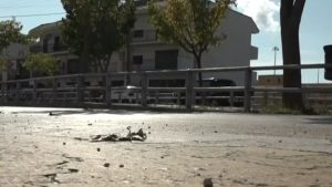 Ηγουμενίτσα: Δραματικές λεπτομέρειες για το τραγικό τροχαίο με τον 11χρονο – “Το παιδί μου” ούρλιαζε η μητέρα του