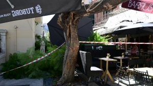 Η ανακοίνωση του Δήμου Αθηναίων για την πτώση του δέντρου στην πλατεία Αγίας Ειρήνης