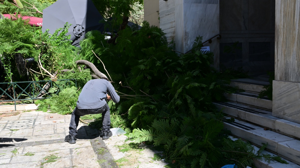 Αθήνα: Έπεσε δέντρο στην πλατεία Αγίας Ειρήνης – Δύο τραυματίες, δείτε φωτογραφίες και βίντεο
