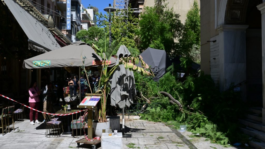 Μαρτυρία για την πτώση δέντρου στην πλατεία Αγίας Ειρήνης: “Είχε σαπίσει και ήθελαν να το κλαδέψουν, η γυναίκα δεν θυμόταν τίποτα”