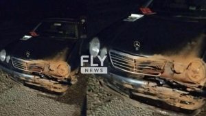 Λακωνία: Σύγκρουση Ι.Χ. με αγέλη αγριογούρουνων σε δρόμο «καρμανιόλα»