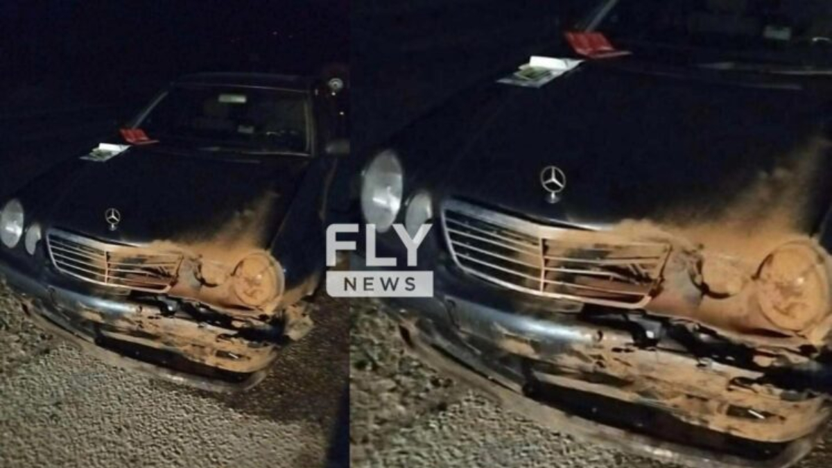 Λακωνία: Σύγκρουση Ι.Χ. με αγέλη αγριογούρουνων σε δρόμο «καρμανιόλα»