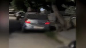 Αλεπούδες εμφανίστηκαν σε γειτονιά στο Αιγάλεω – Δείτε το βίντεο