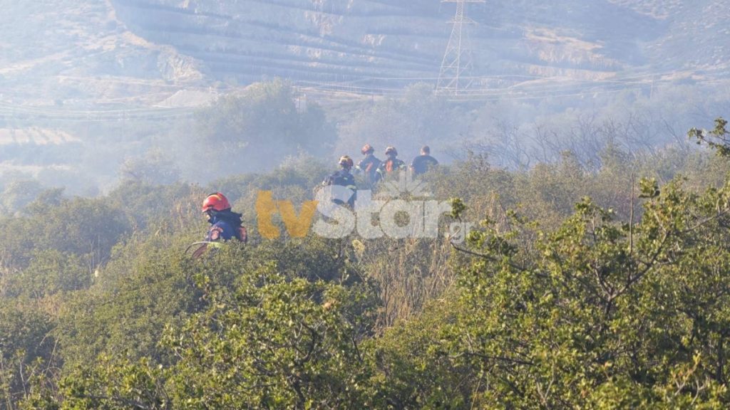Φωτιά στους Κομποτάδες Φθιώτιδας – Σηκώθηκαν τέσσερα εναέρια μέσα