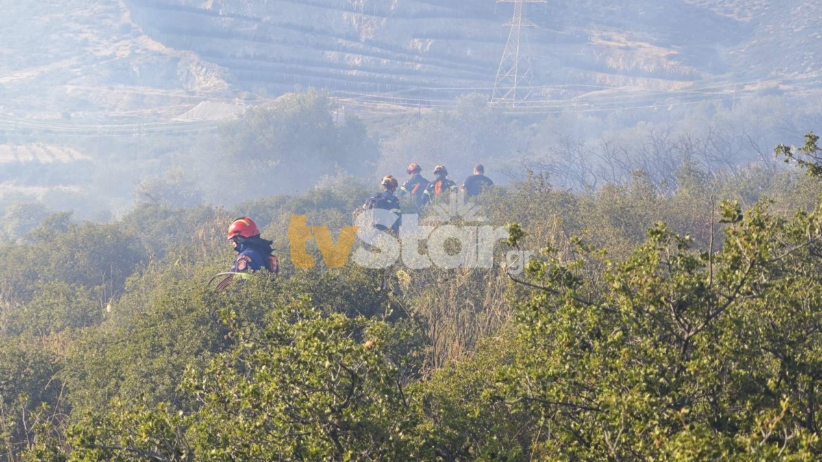 Φωτιά στους Κομποτάδες Φθιώτιδας – Σηκώθηκαν τέσσερα εναέρια μέσα
