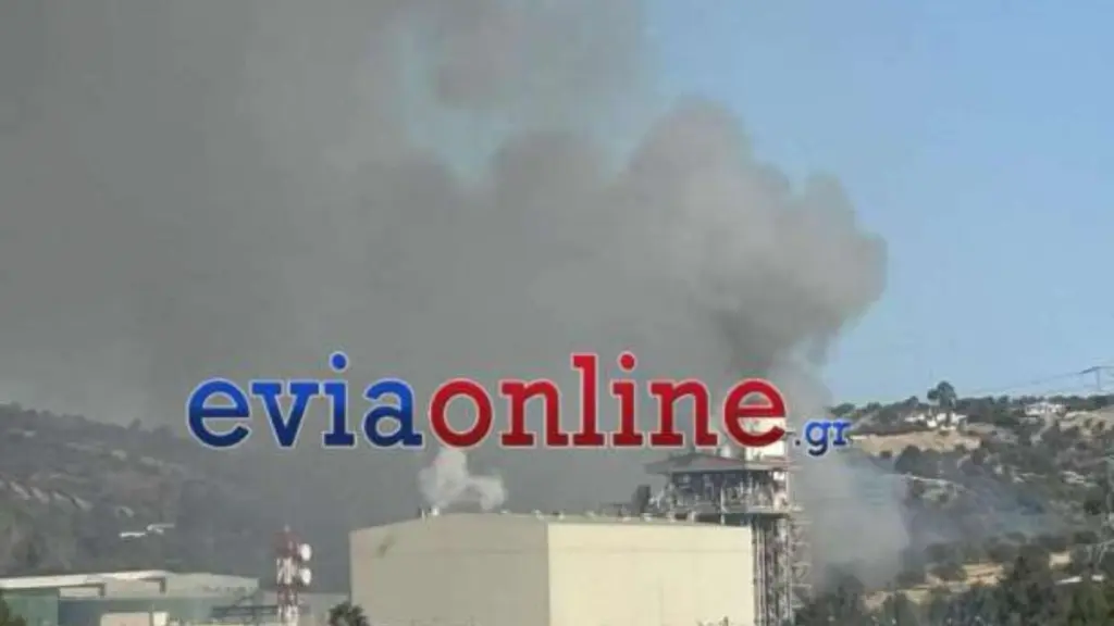 Εύβοια: Φωτιά στην περιοχή Μηλάκι – Καίει κοντά σε εργοστάσιο (Φωτογραφίες & Βίντεο)