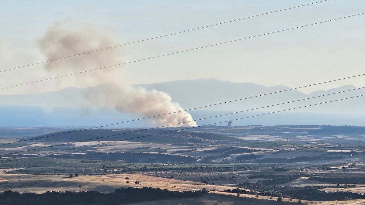 Υπό έλεγχο η φωτιά στη Νέα Τρίγλια Χαλκιδικής (Φωτογραφίες)