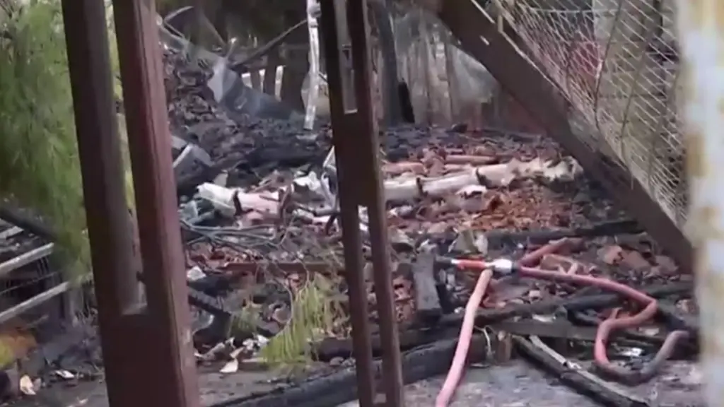 Φωτιά σε καφετέρια στους Αγίους Αναργύρους – Κάηκε ολοσχερώς το κατάστημα (βίντεο)