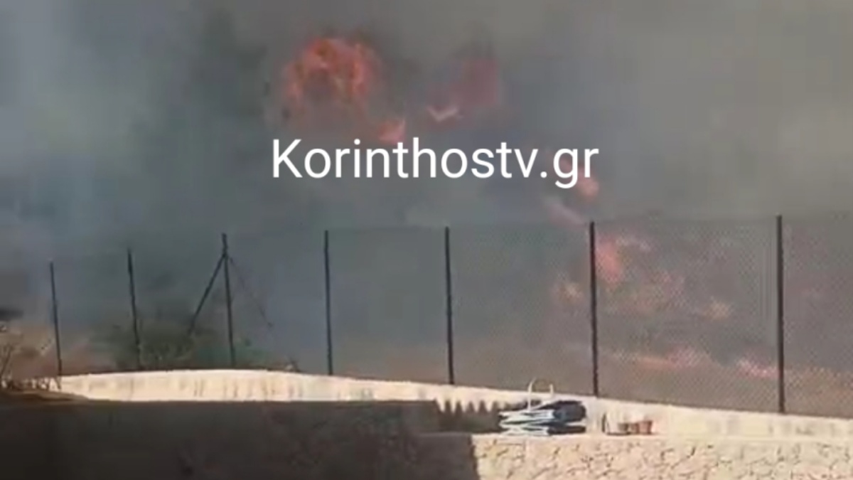 Φωτιά στην Ερμιονίδα: Καίει κοντά σε σπίτια – ήχησε το 112 για εκκένωση στα Βεργαίικα, ενισχύονται οι δυνάμεις της πυροσβεστικής