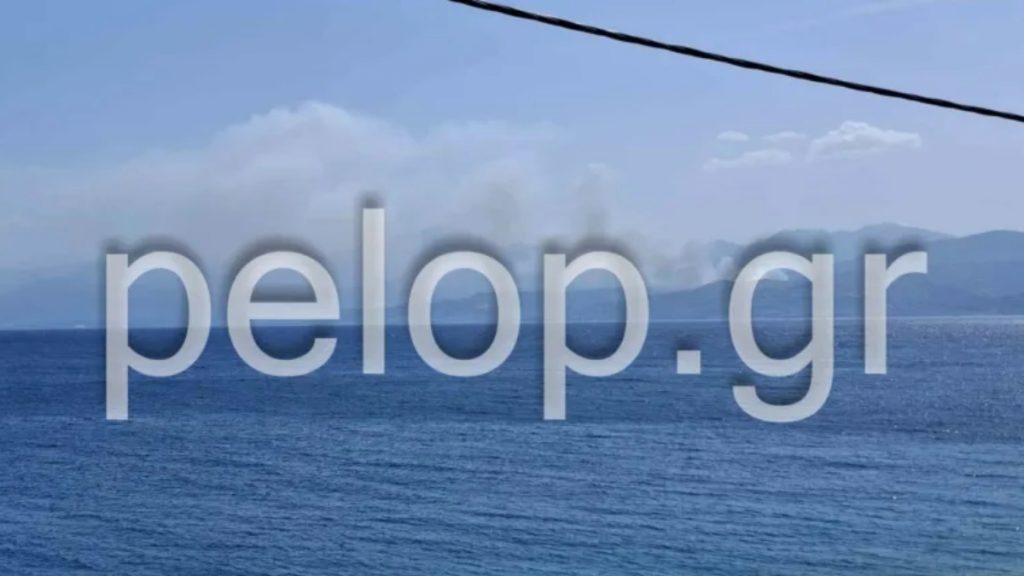 Ανεξέλεγκτη η φωτιά στο Άλσος Αχαΐας – Σηκώθηκαν εναέρια μέσα, ενεργοποιήθηκε το 112 για ετοιμότητα (Βίντεο)