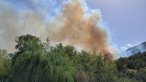 Ανεξέλεγκτη η φωτιά στο Άλσος Αχαΐας – Σηκώθηκαν 7 εναέρια μέσα, ενεργοποιήθηκε το 112, εκκενώθηκαν 2 περιοχές (Βίντεο)