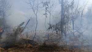 Φωτιά στα Καμένα Βούρλα Φθιώτιδας – 3 εναέρια μέσα στην μάχη της κατάσβεσης (Εικόνες +Βίντεο)