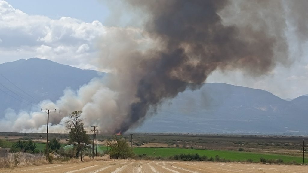 Φωτιά σε καλαμιές κοντά στον Σπερχειό ποταμό
