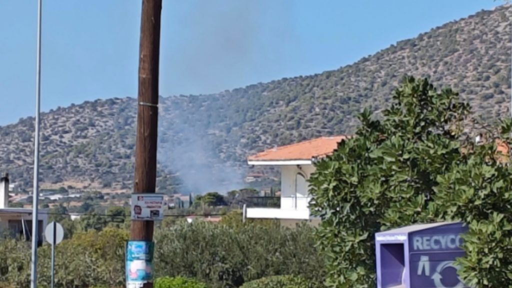 Φωτιά σε χαμηλή βλάστηση στον Κουβαρά Αττικής