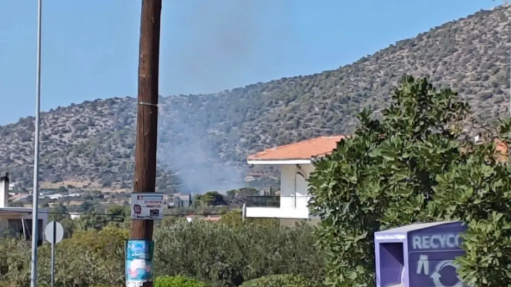 Φωτιά σε χαμηλή βλάστηση στον Κουβαρά Αττικής
