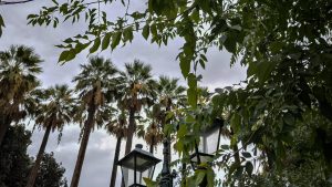 Καιρός αύριο: Άνεμοι έως 8 μποφόρ στο Αιγαίο – Πού θα βρέξει