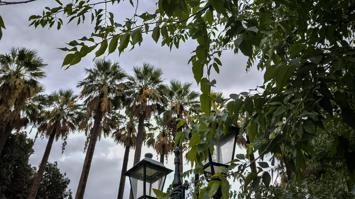 Καιρός αύριο: Άνεμοι έως 8 μποφόρ στο Αιγαίο – Πού θα βρέξει