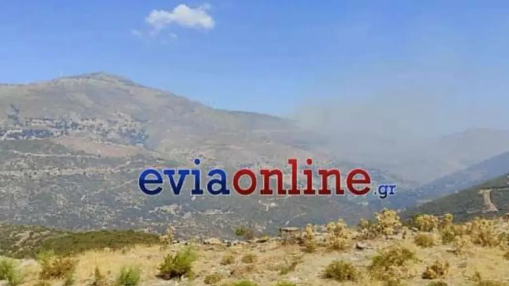 Μεγάλη φωτιά στην Αντιά Καρύστου – Επιχειρούν 6 εναέρια μέσα (Εικόνα)