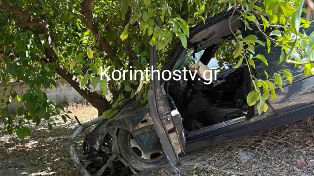 Κορινθία: Τρελή πορεία ΙΧ που ξήλωσε στάση και καρφώθηκε σε δέντρο (Εικόνες)