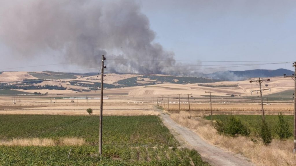 Φωτιά στην Λάρισα: Στην μάχη της κατάσβεσης εναέρια μέσα – Ενεργοποιήθηκε το 112 για ετοιμότητα