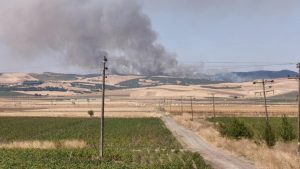 Φωτιά στην Λάρισα: Στην μάχη της κατάσβεσης εναέρια μέσα – Ενεργοποιήθηκε το 112 για ετοιμότητα
