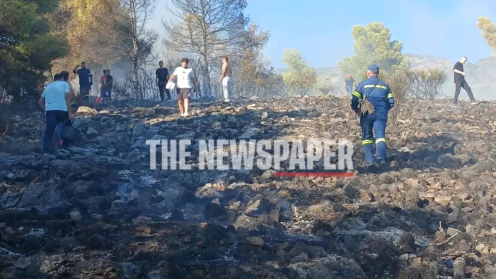 Φωτιά σε δασική έκταση στον Άγιο Ονούφριο Μαγνησίας – 5 εναέρια μέσα στην μάχη (φωτογραφίες, βίντεο)